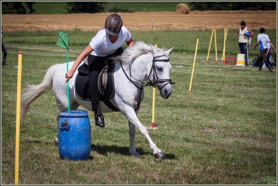 Mounted Games 250